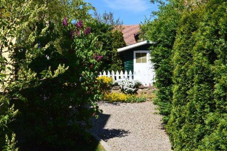 Location de vacances - Appartement à Thannenkirch