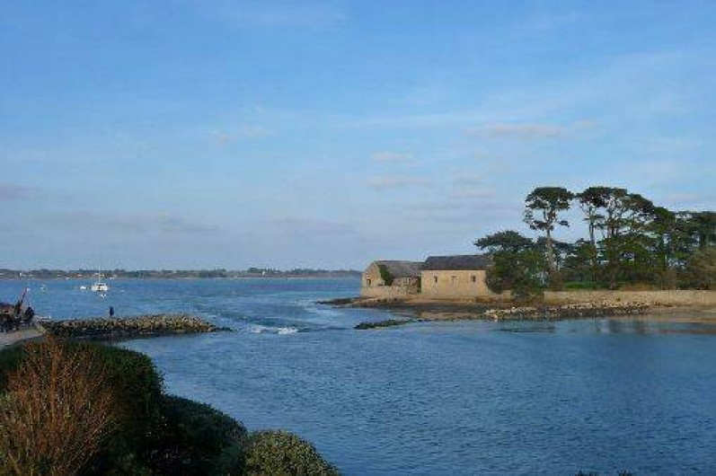 Location de vacances - Gîte à Baden - A proximité l'Ile de Berder