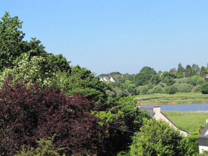 Location de vacances - Gîte à Baden - Vue sur l'étang du Golf