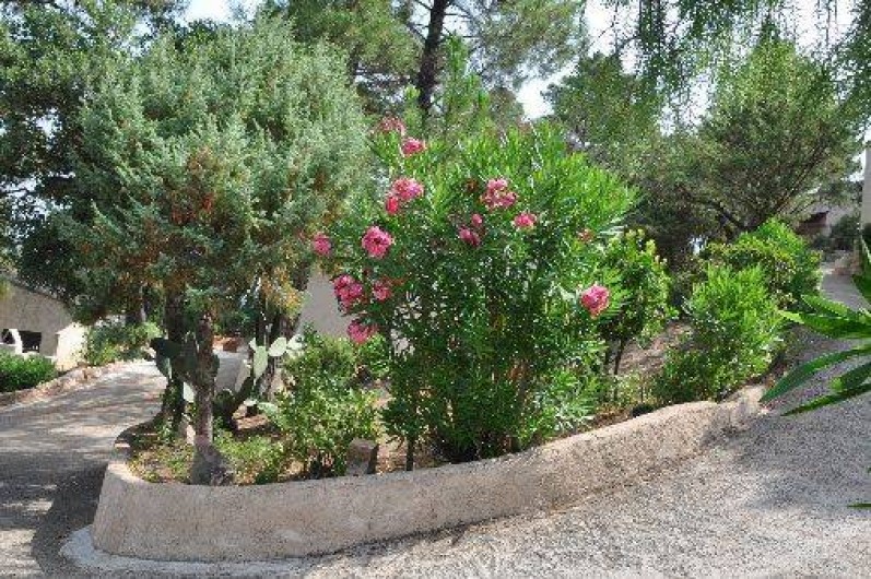 Location de vacances - Villa à Porto-Vecchio