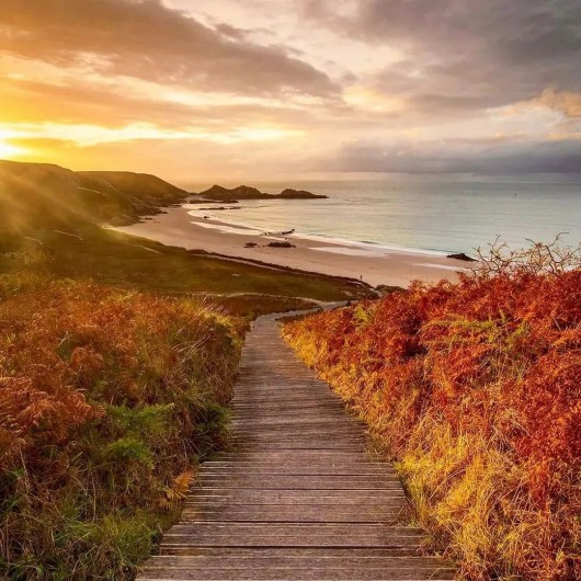 Location de vacances - Villa à Erquy - Plage d'Erquy