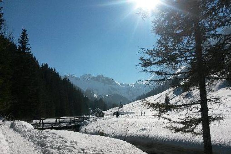 Location de vacances - Appartement à Châtel