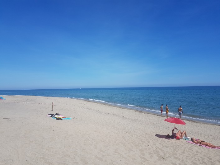 Location de vacances - Studio à Canet-en-Roussillon - la plage