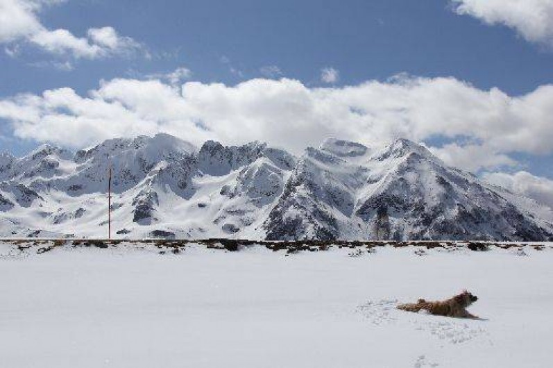Location de vacances - Gîte à Salles - Hautacam