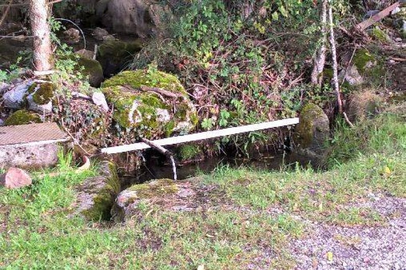 Location de vacances - Gîte à Salles - La source