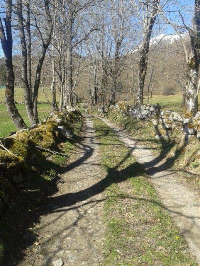 Location de vacances - Gîte à Salles - Chemin d'accès