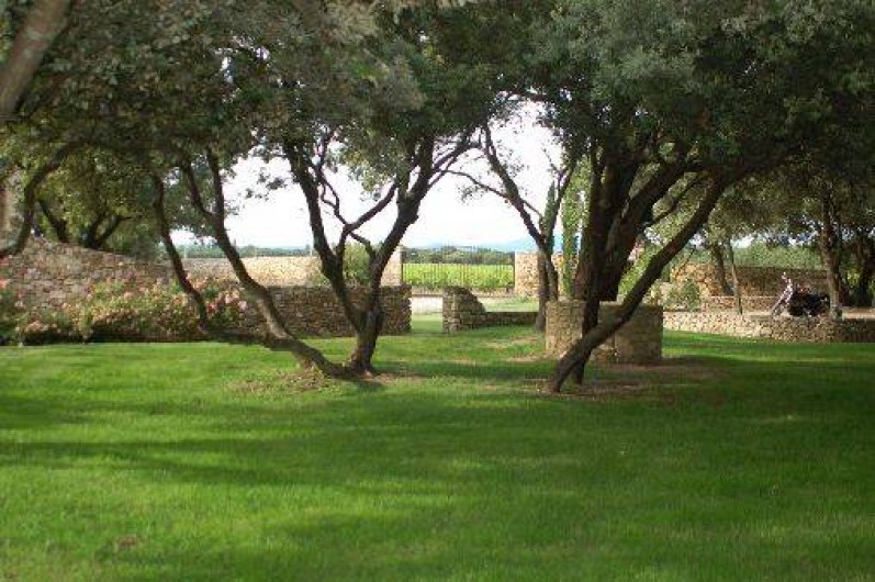 Location de vacances - Villa à Visan