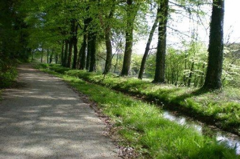 Location de vacances - Gîte à Merléac