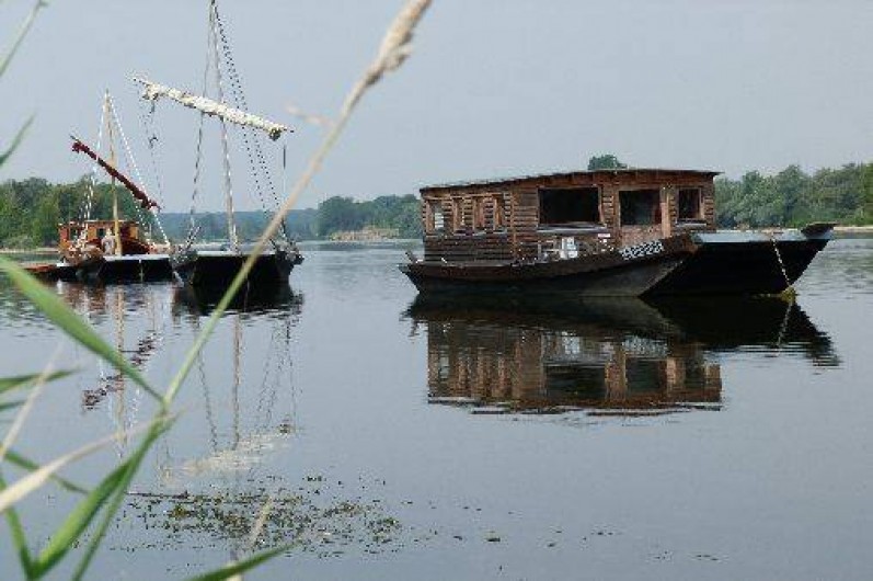 Location de vacances - Gîte à Muides-sur-Loire