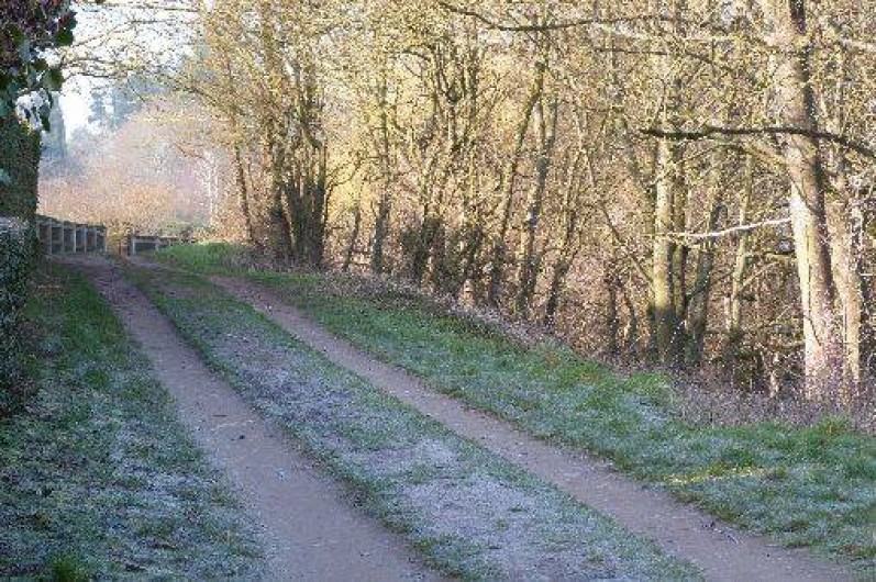 Location de vacances - Gîte à Muides-sur-Loire