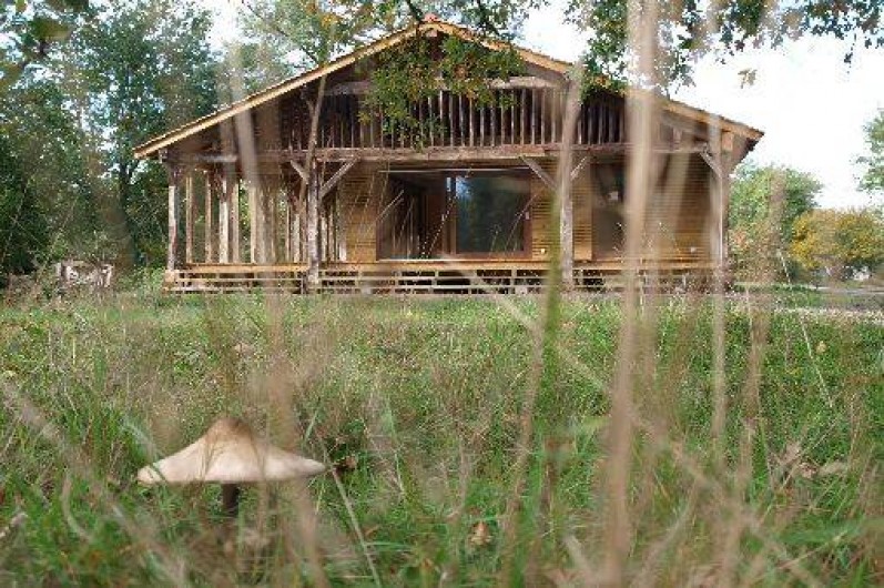 Location de vacances - Gîte à Morcenx