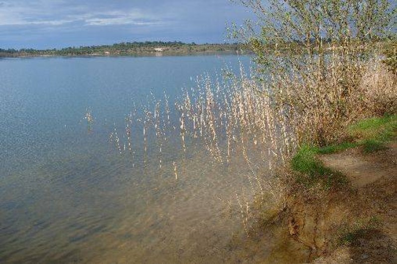 Location de vacances - Gîte à Morcenx
