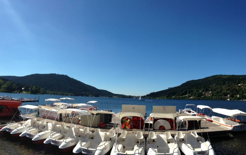 Location de vacances - Appartement à Gérardmer - Lac de Gérardmer en été