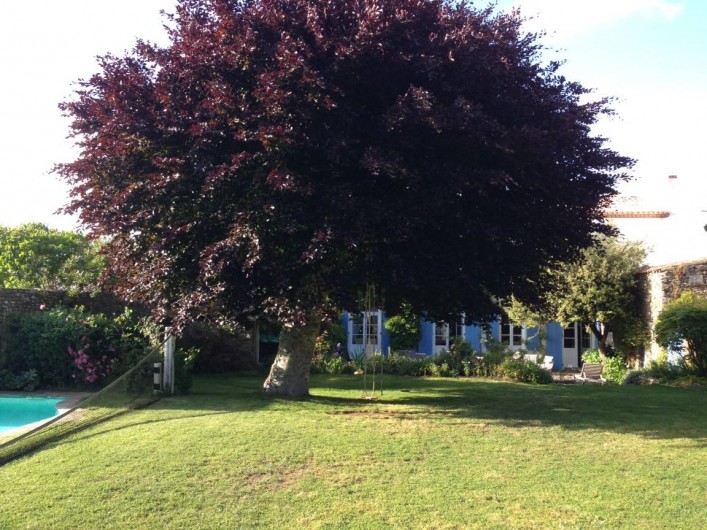 Location de vacances - Villa à Port Joinville