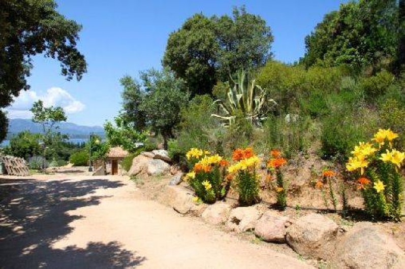 Location de vacances - Villa à Porto-Vecchio