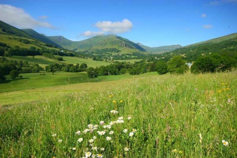 Location de vacances - Gîte à Lavigerie