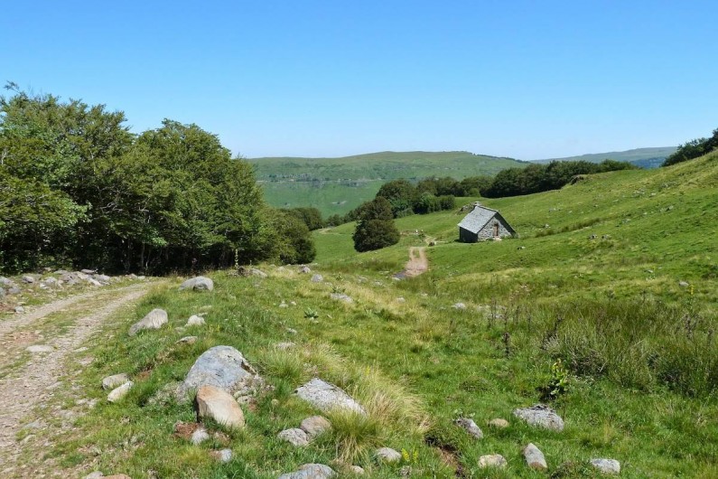 Location de vacances - Gîte à Lavigerie