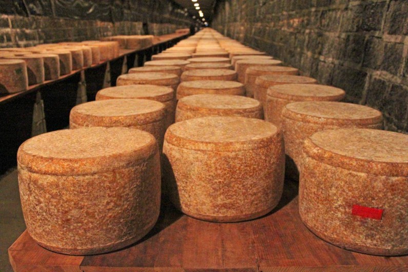 Location de vacances - Gîte à Lavigerie - Cantal