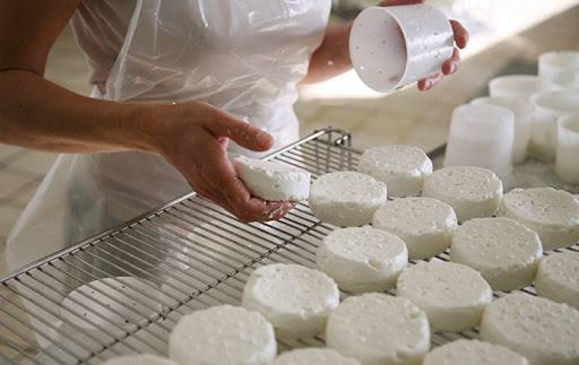 Location de vacances - Gîte à Lavigerie - Fabrication de la tome fraîche