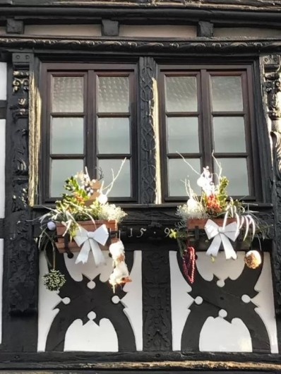 Location de vacances - Appartement à Wissembourg