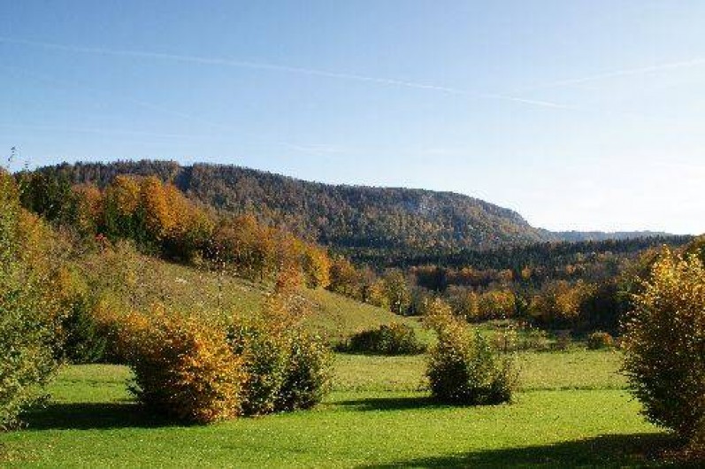 Location de vacances - Chalet à Le Frasnois