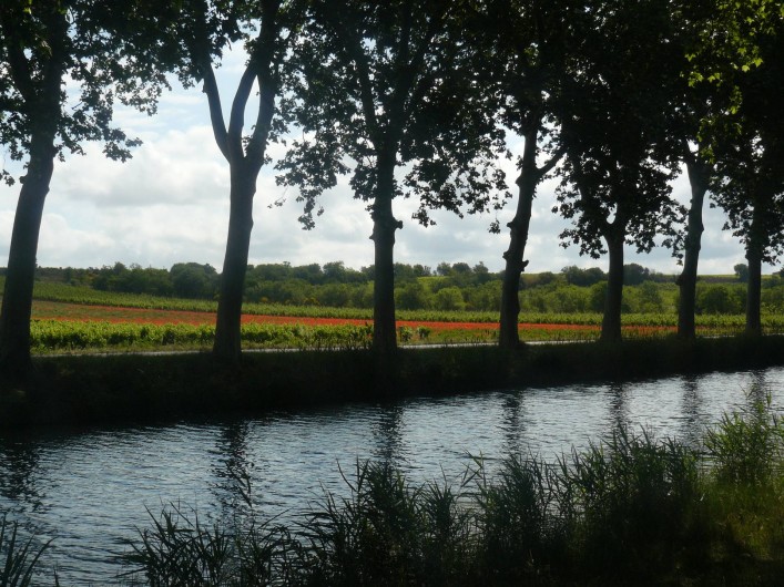 Location de vacances - Chambre d'hôtes à Villeneuve-lès-Béziers - Promenades le long du Canal du Midi