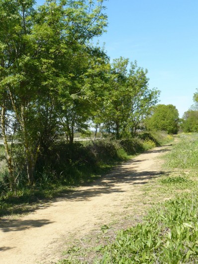 Location de vacances - Chambre d'hôtes à Villeneuve-lès-Béziers - Des sentiers de randonnée