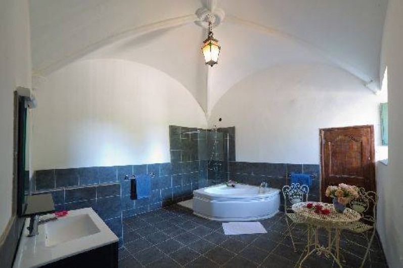 Location de vacances - Château - Manoir à Trausse