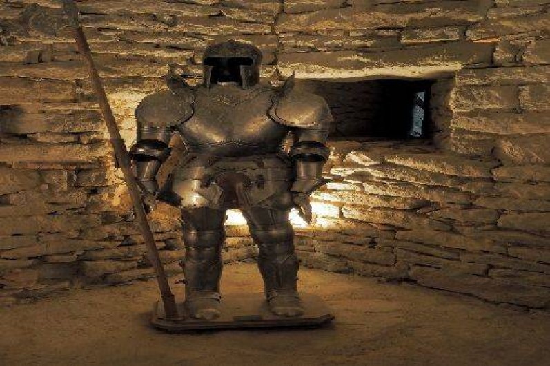 Location de vacances - Château - Manoir à Trausse