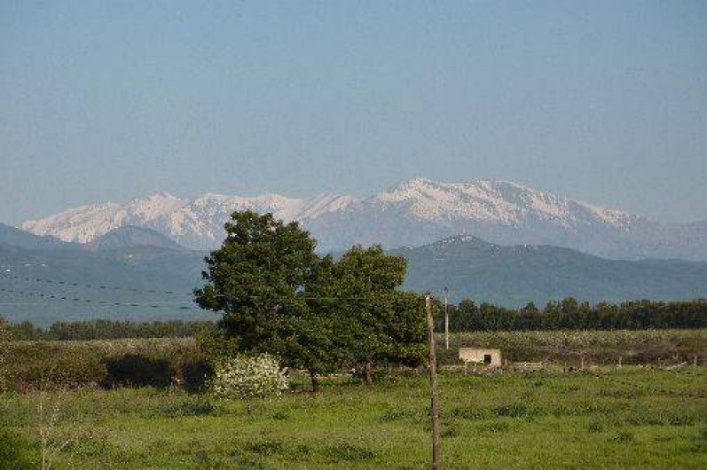 Location de vacances - Villa à Aléria