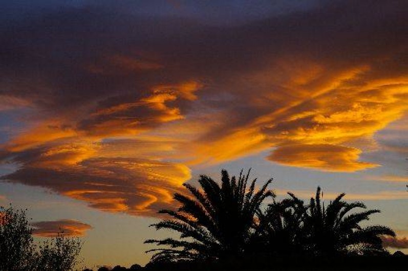 Location de vacances - Villa à Aléria