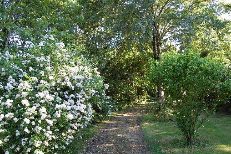 Location de vacances - Gîte à Sainte-Cécile