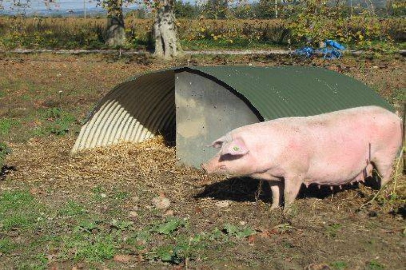 Location de vacances - Chalet à Viviers-lès-Montagnes