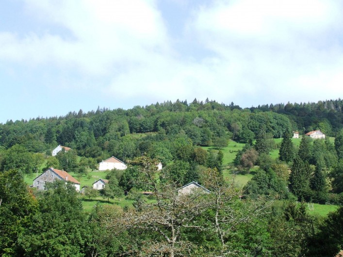 Location de vacances - Maison - Villa à Thiéfosse - Vue depuis la location