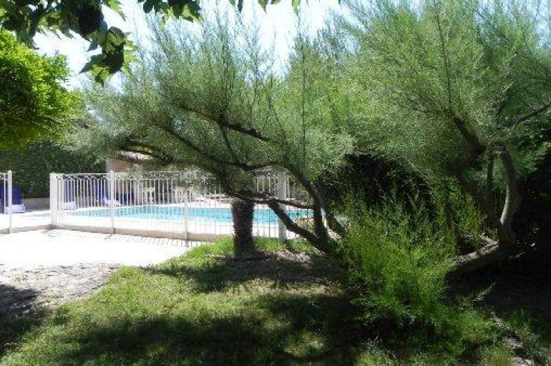 Location de vacances - Villa à L'Isle-sur-la-Sorgue