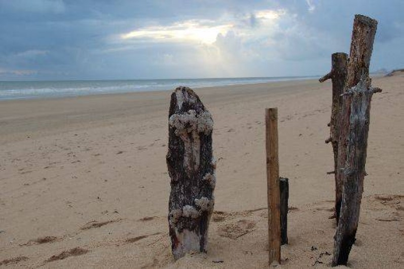 Location de vacances - Appartement à Saint-Hilaire-de-Riez