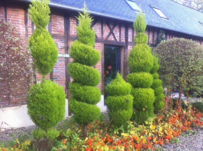 Location de vacances - Gîte à Beauval-en-Caux - topiaires face au gîte "les pommiers"