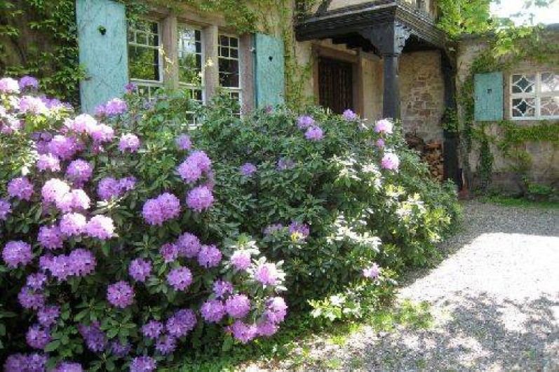 Location de vacances - Chambre d'hôtes à Bœrsch