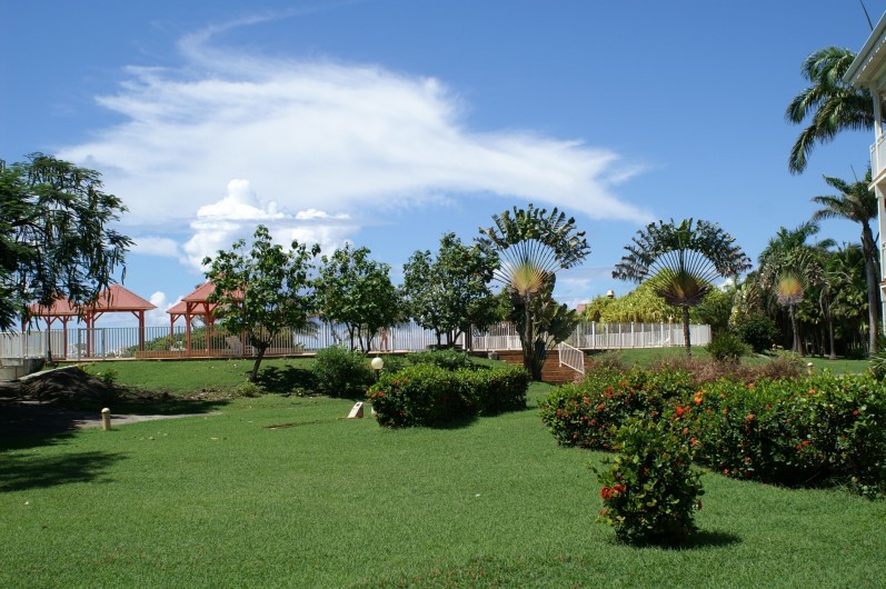 Location de vacances - Appartement à Saint-François