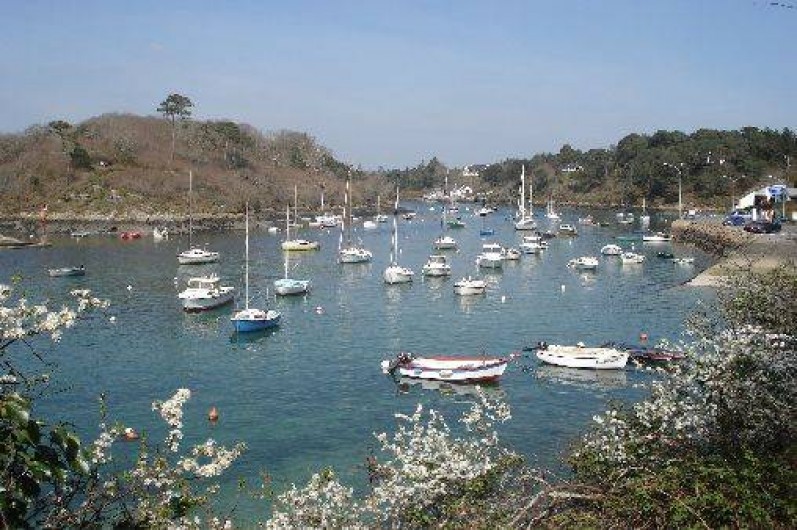 Location de vacances - Maison - Villa à Moëlan-sur-Mer