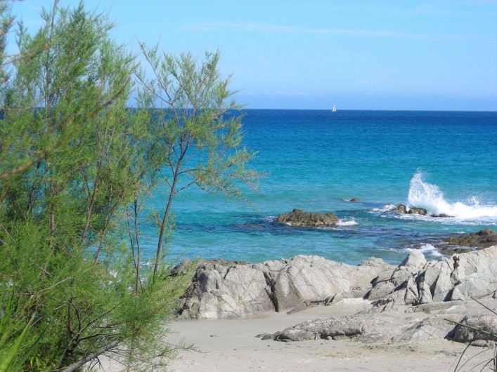 Location de vacances - Villa à Calvi - Des plages magnifiques