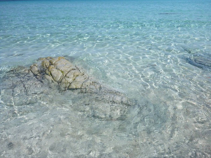 Location de vacances - Villa à Calvi - Eaux turquoises.