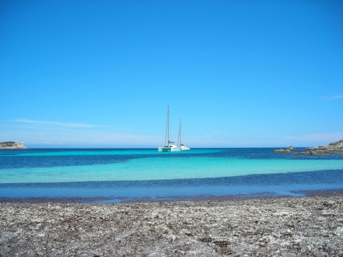 Location de vacances - Villa à Calvi - PLage de l'alga.
