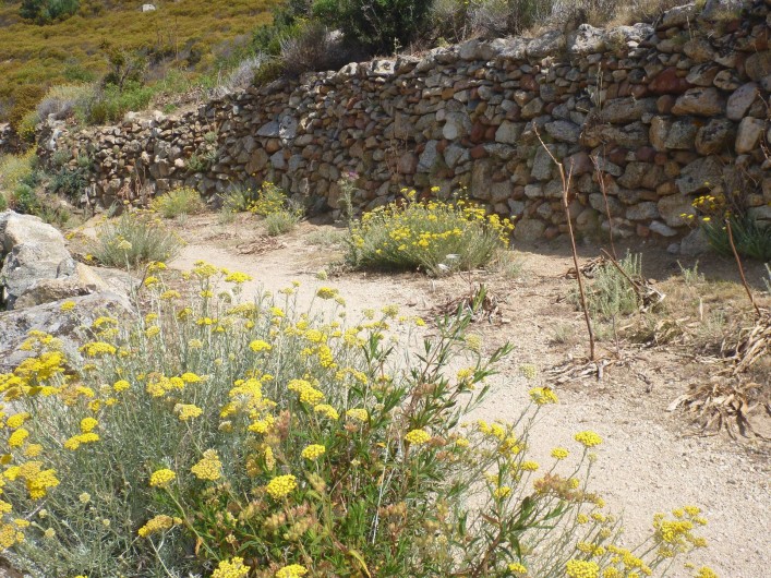 Location de vacances - Villa à Calvi - Rando à Lumio, village de Leaticia Casta.