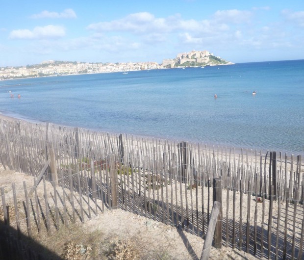 Location de vacances - Villa à Calvi - Plage de Calvi.