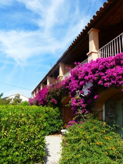 Location de vacances - Studio à Hyères