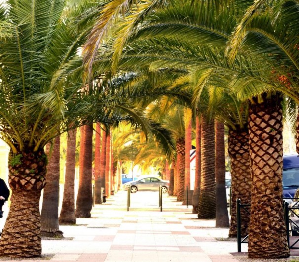 Location de vacances - Studio à Hyères