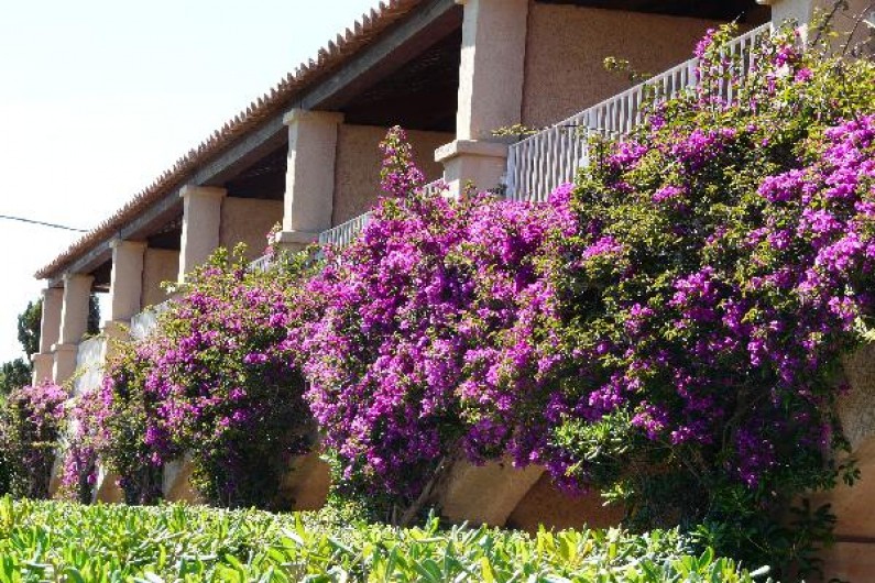 Location de vacances - Studio à Hyères