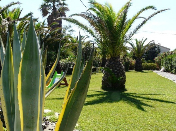 Location de vacances - Studio à Hyères