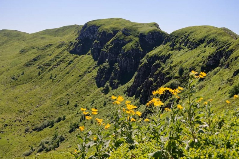 Location de vacances - Villa à Valuéjols - Puy Mary